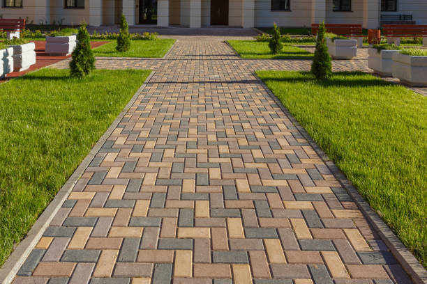 Best Professional Driveway Pavers  in Hondo, TX